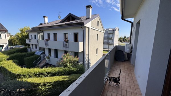 appartamento in vendita a Noventa Padovana in zona Oltre Brenta