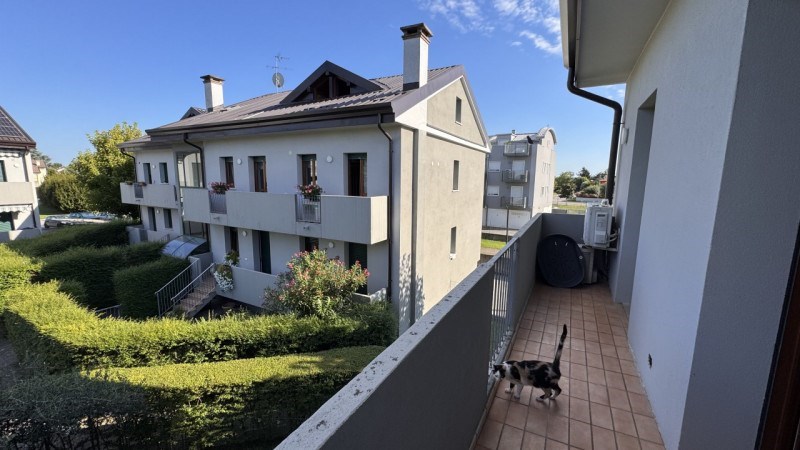appartamento in vendita a Noventa Padovana in zona Oltre Brenta