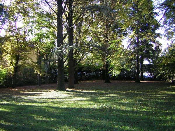 terreno edificabile in vendita a Noventa Padovana in zona Noventana