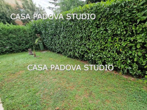 casa indipendente in vendita a Noventa Padovana