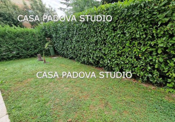 casa indipendente in vendita a Noventa Padovana in zona Noventana