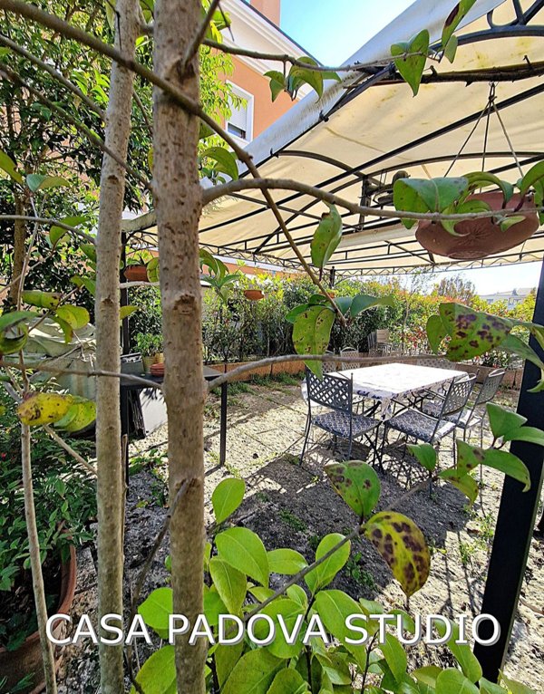 appartamento in vendita a Noventa Padovana