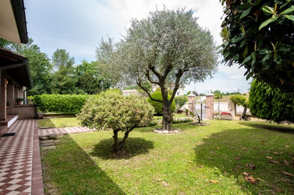 casa indipendente in vendita a Noventa Padovana