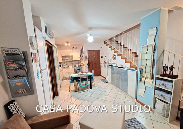 appartamento in vendita a Noventa Padovana