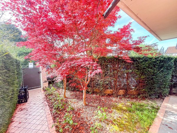 casa indipendente in vendita a Noventa Padovana