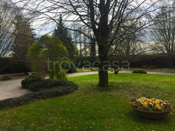 casa indipendente in vendita a Noventa Padovana in zona Noventana