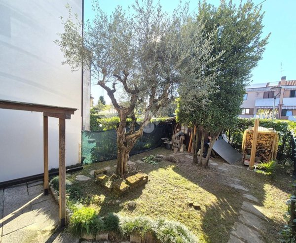 casa indipendente in vendita a Noventa Padovana in zona Noventana