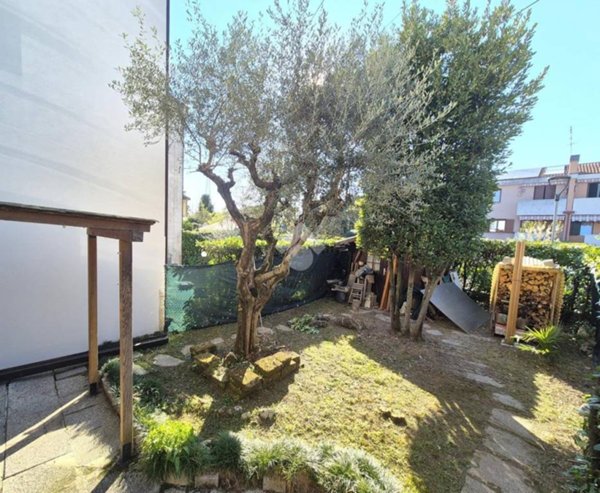 casa indipendente in vendita a Noventa Padovana in zona Noventana