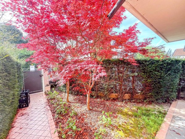 casa indipendente in vendita a Noventa Padovana