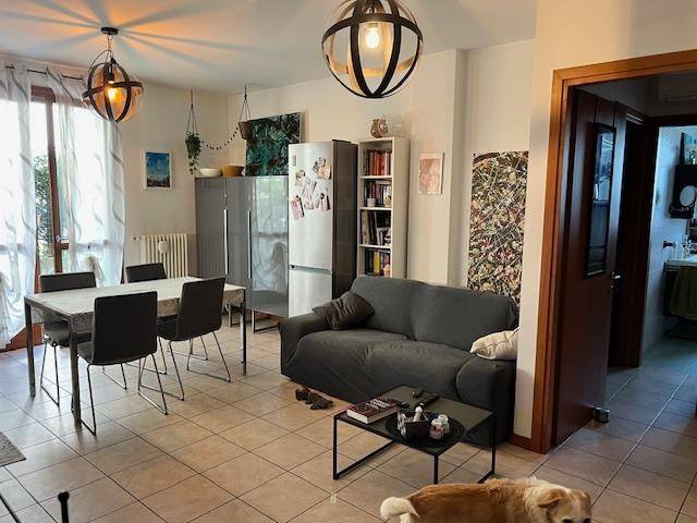 appartamento in vendita a Noventa Padovana in zona Oltre Brenta