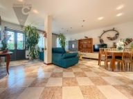 casa indipendente in vendita a Noventa Padovana in zona Noventana