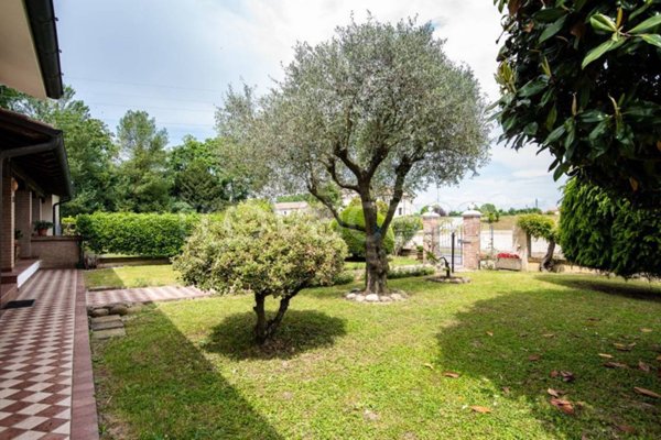 casa indipendente in vendita a Noventa Padovana in zona Noventana