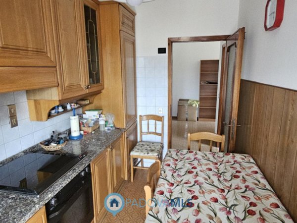 appartamento in vendita a Noventa Padovana