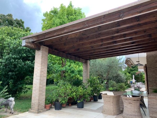 casa indipendente in vendita a Noventa Padovana in zona Oltre Brenta