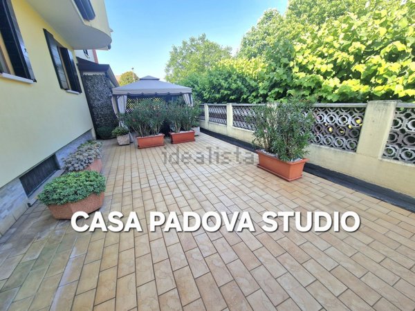 casa indipendente in vendita a Noventa Padovana in zona Noventana
