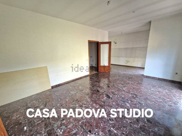 casa indipendente in vendita a Noventa Padovana in zona Noventana