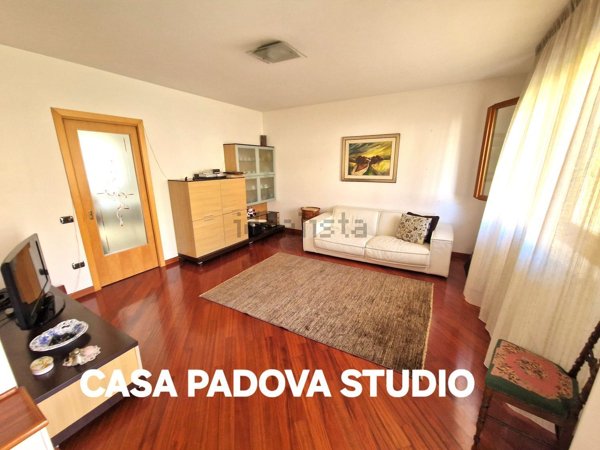 casa indipendente in vendita a Noventa Padovana in zona Noventana