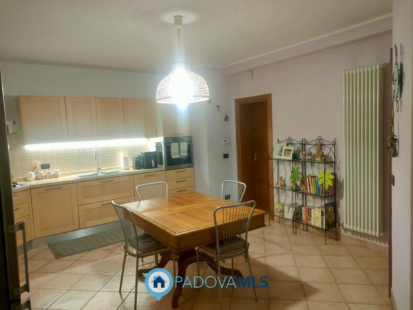 appartamento in vendita a Noventa Padovana