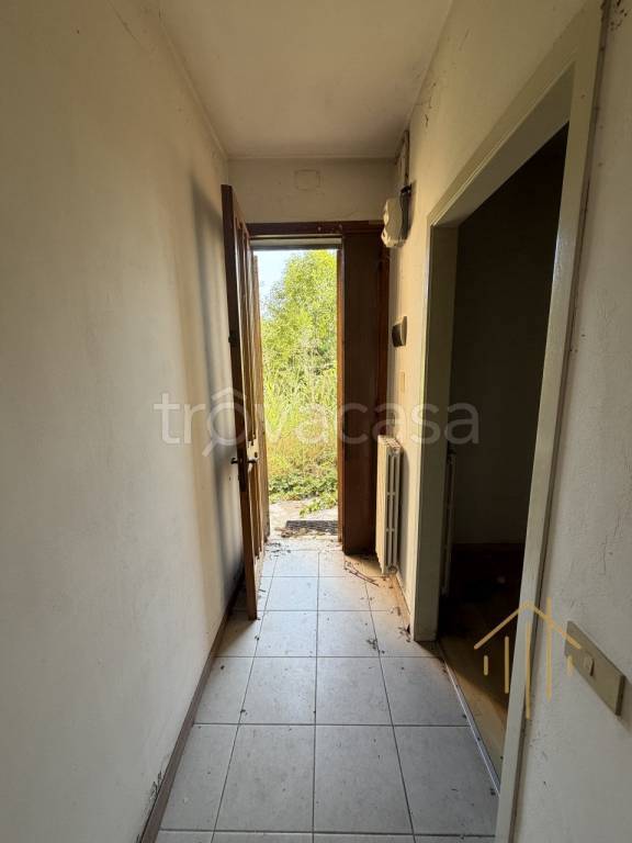 casa indipendente in vendita a Noventa Padovana in zona Noventana