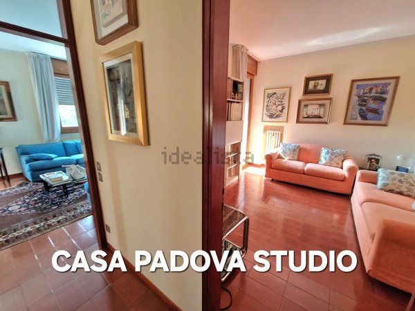 casa indipendente in vendita a Noventa Padovana in zona Noventana