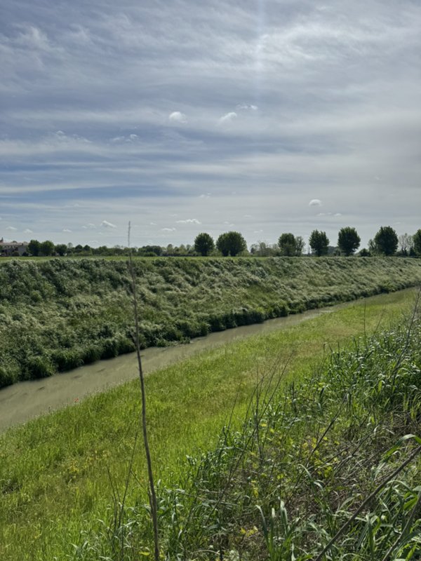 terreno agricolo in vendita ad Ospedaletto Euganeo
