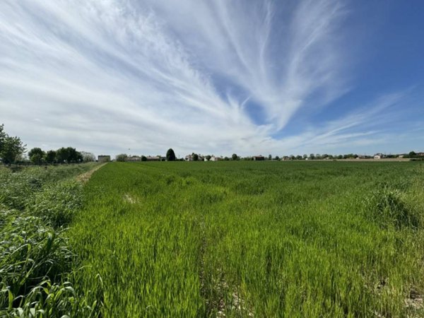 terreno agricolo in vendita ad Ospedaletto Euganeo