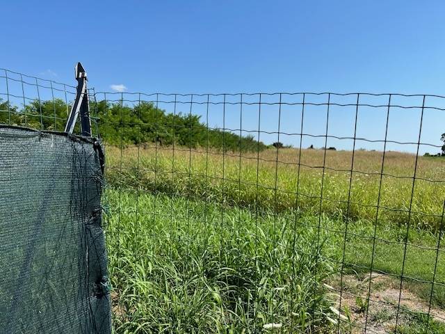 terreno agricolo in vendita ad Ospedaletto Euganeo