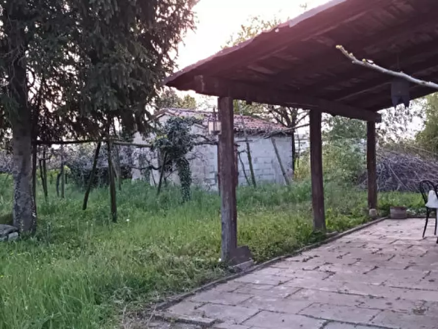esavano in vendita ad Ospedaletto Euganeo