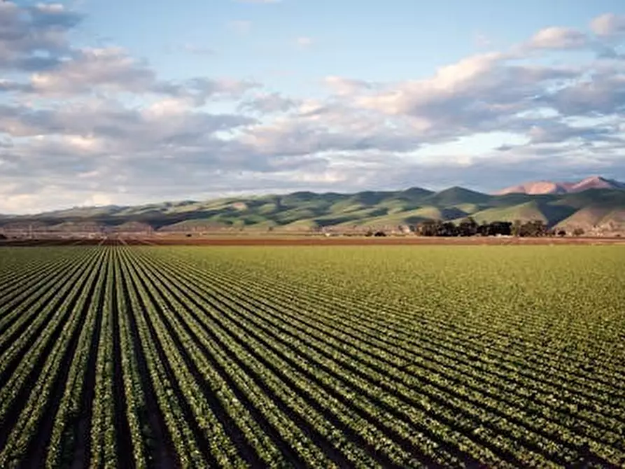 terreno agricolo in vendita ad Ospedaletto Euganeo