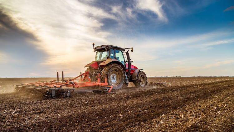 terreno agricolo in vendita ad Ospedaletto Euganeo in zona Dossi