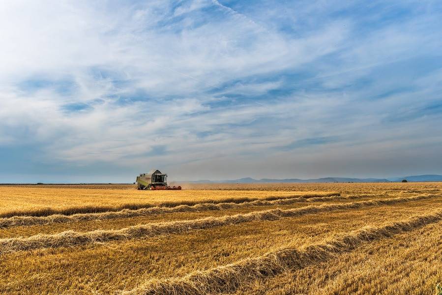 terreno agricolo in vendita a Padova in zona Camin / Granze