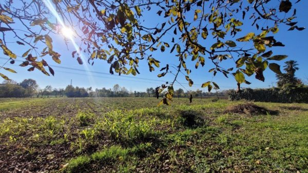 terreno agricolo in vendita a Padova in zona Mandria