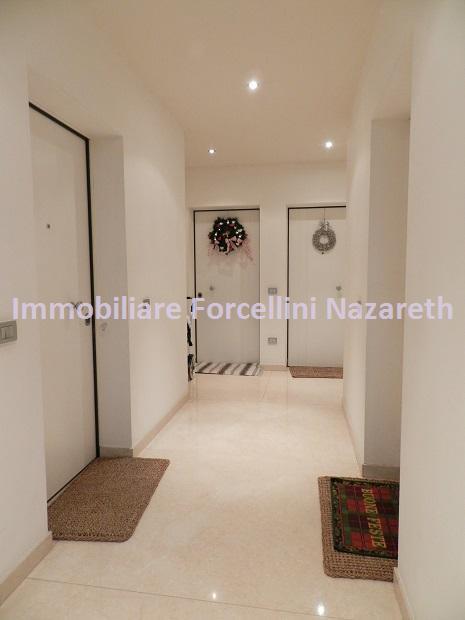 appartamento in vendita a Padova in zona Forcellini / Terranegra
