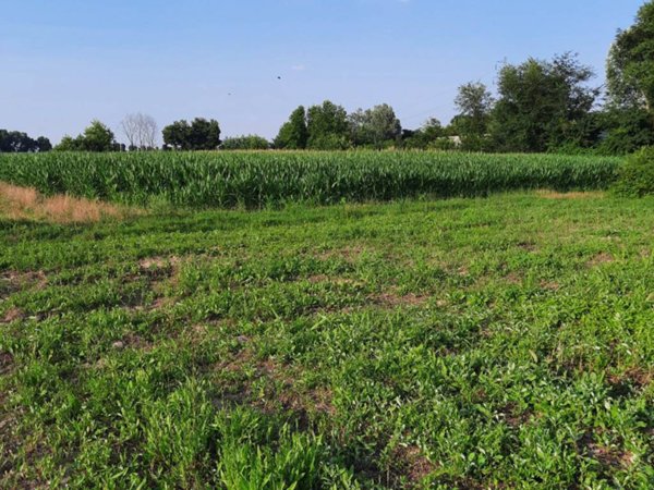 terreno agricolo in vendita a Padova in zona Altichiero