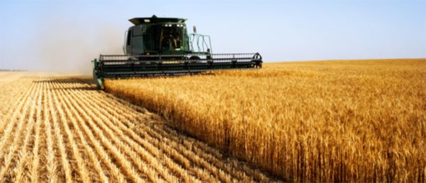 terreno agricolo in vendita a Padova in zona Altichiero