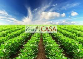 casa indipendente in vendita a Padova in zona Volta Brusegana