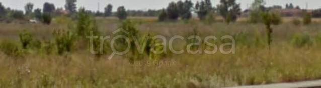 terreno agricolo in vendita a Padova in zona Stanga