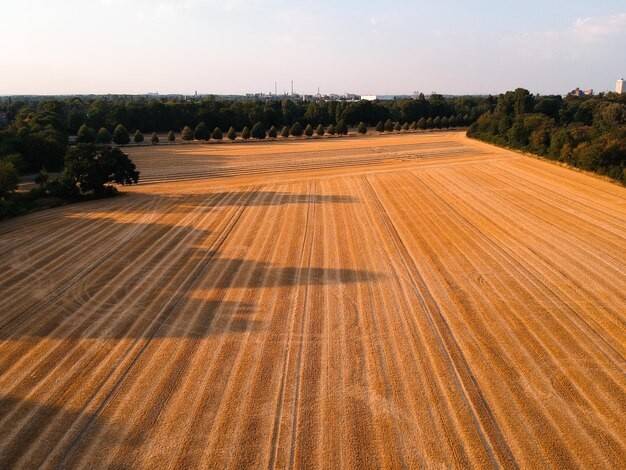 terreno agricolo in vendita a Padova in zona Sacra Famiglia