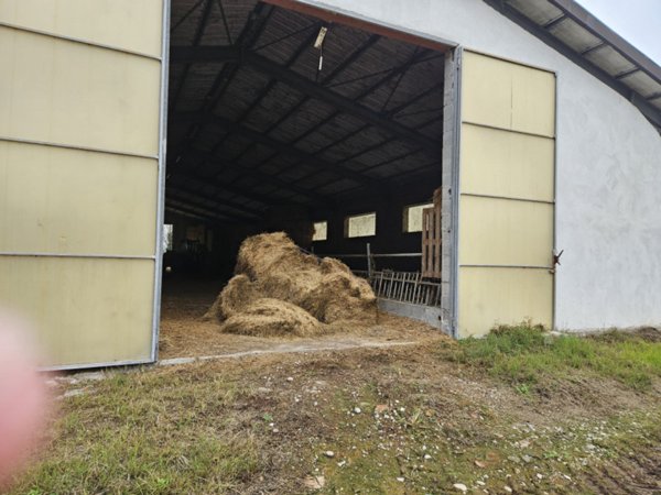 azienda agricola in vendita a Padova