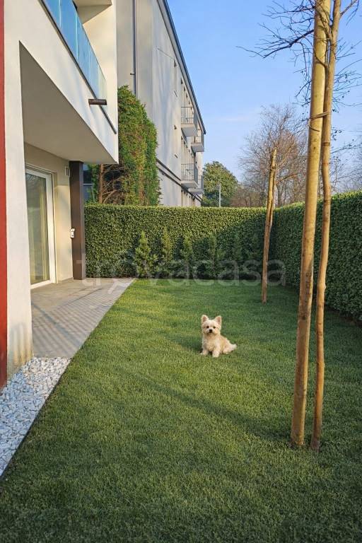 appartamento in vendita a Padova in zona San Giuseppe