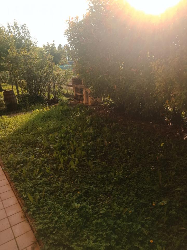 casa indipendente in vendita a Padova in zona Guizza