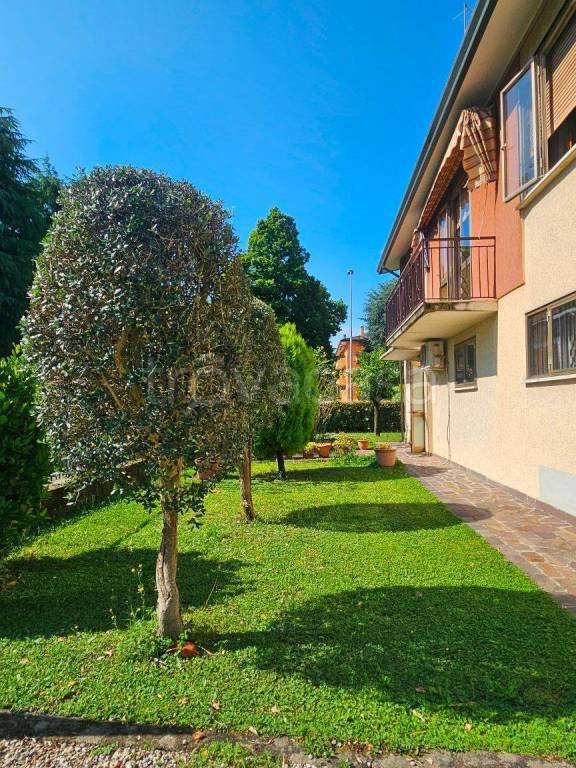 casa indipendente in vendita a Padova in zona San Carlo