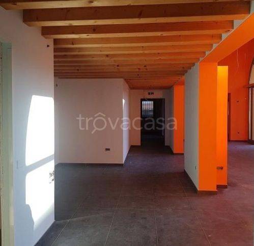 negozio in vendita a Padova in zona Centro Storico