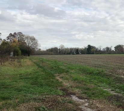 terreno agricolo in vendita a Padova