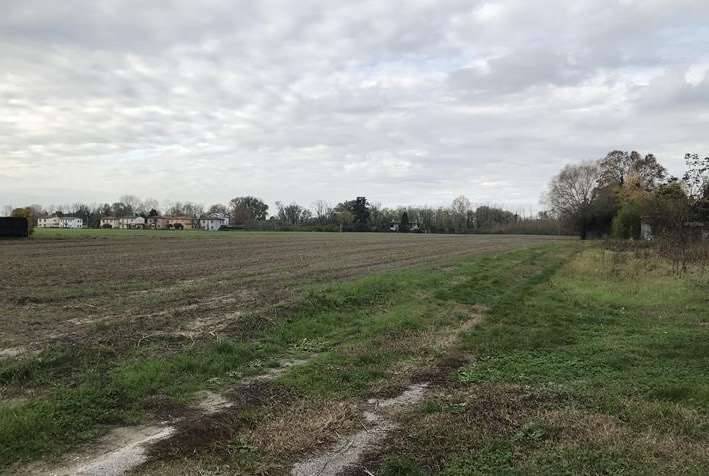 terreno edificabile in vendita a Padova in zona Ponte di Brenta