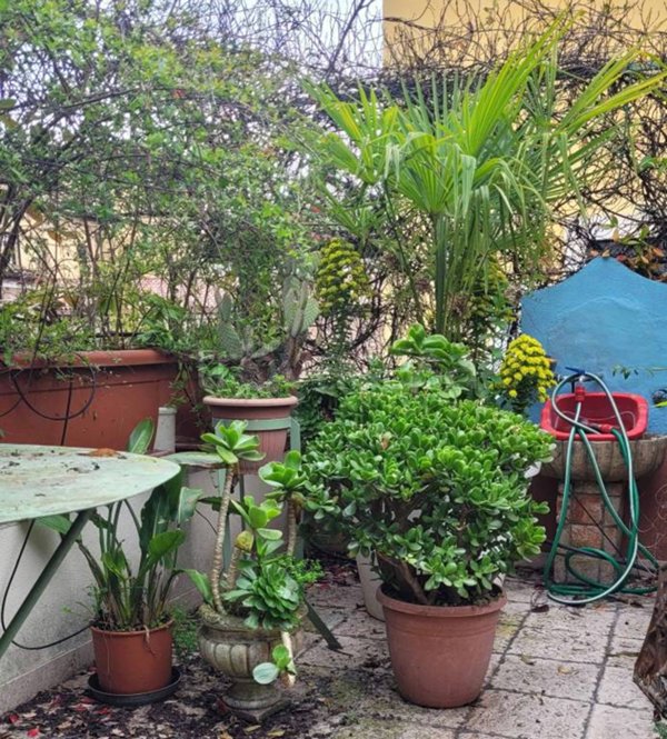 appartamento in vendita a Padova