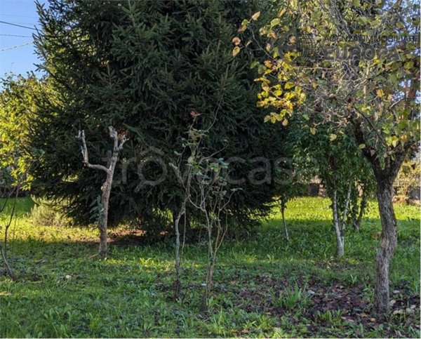 casa indipendente in vendita a Padova in zona Guizza