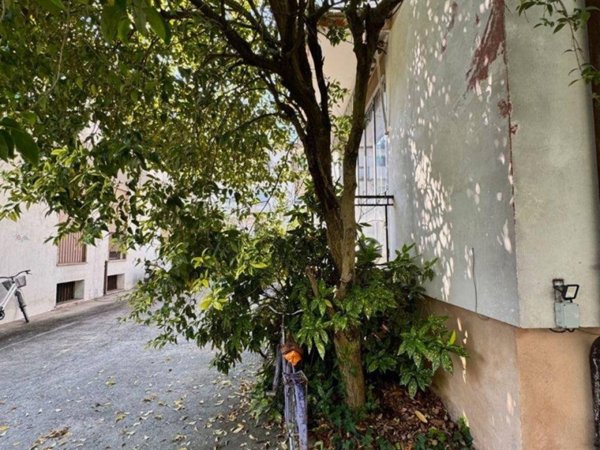 appartamento in vendita a Padova in zona Forcellini / Terranegra