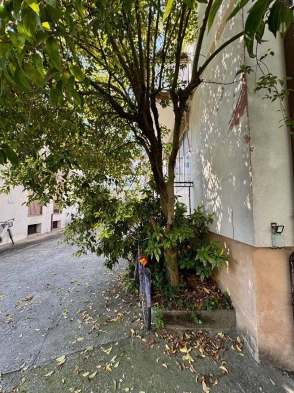 appartamento in vendita a Padova in zona Camin / Granze