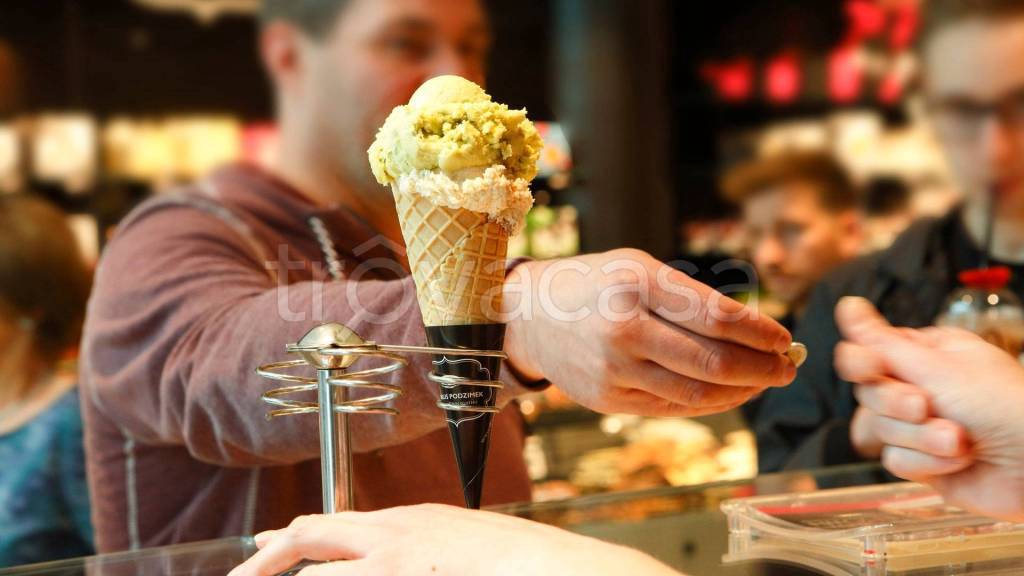 appartamento in vendita a Padova in zona Montà